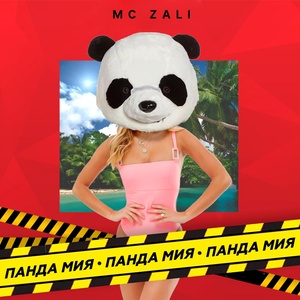 MC Zali - Ты Моя Панда Мия рисунок