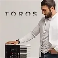 Toros Papoyan & Sabi - Я твой стресс рисунок