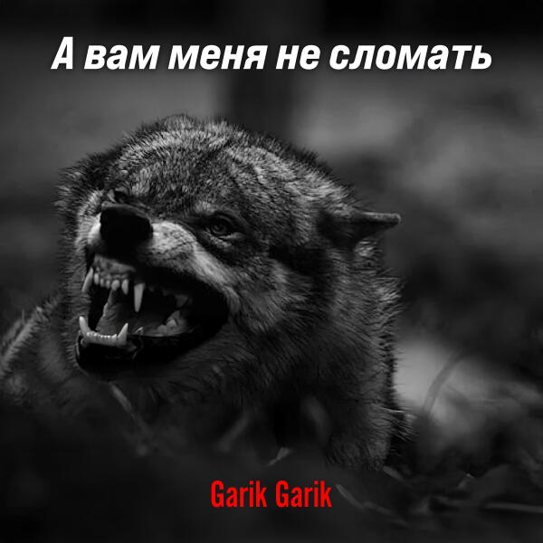 Garik Garik: А вам меня не сломать рисунок