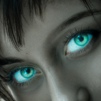 Puls Miasta - Polo Vibes рисунок