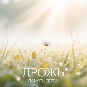 Память ветра - Когда отпустит дрожь ты меня не трожь обложка