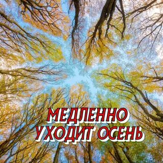 ReyVi - Медленно уходит осень рисунок